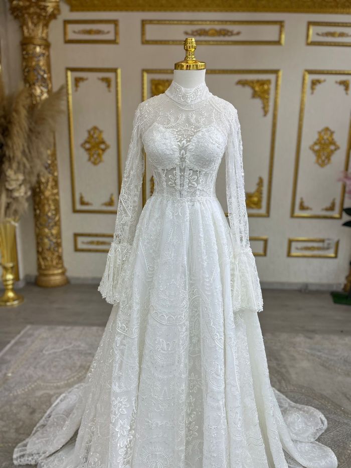Robe A-line manches longues papillons