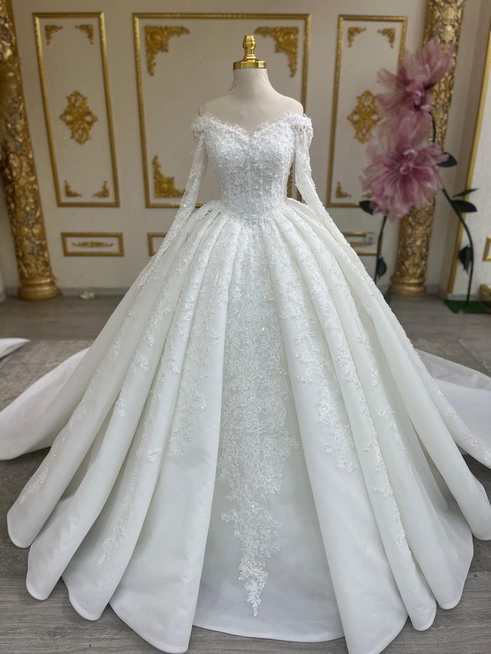 Robe de mariée princesse, en dentelle avec manches