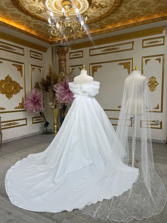 Robe princesse avec traine et voile